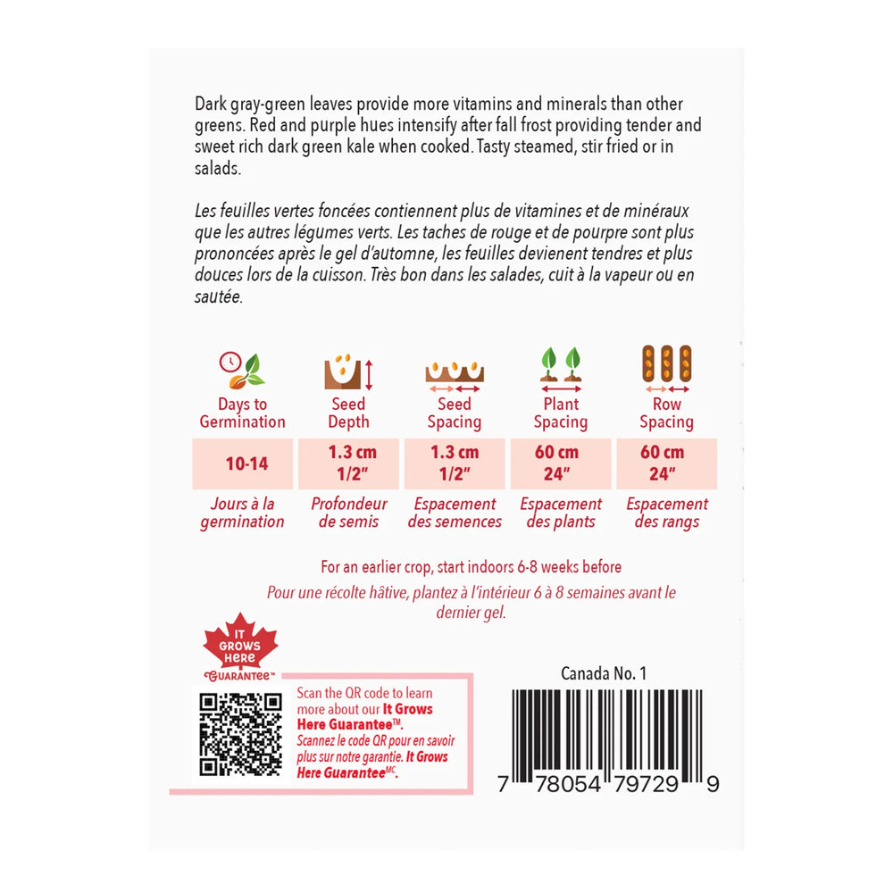 Kale Red Russian - McKenzie Seeds