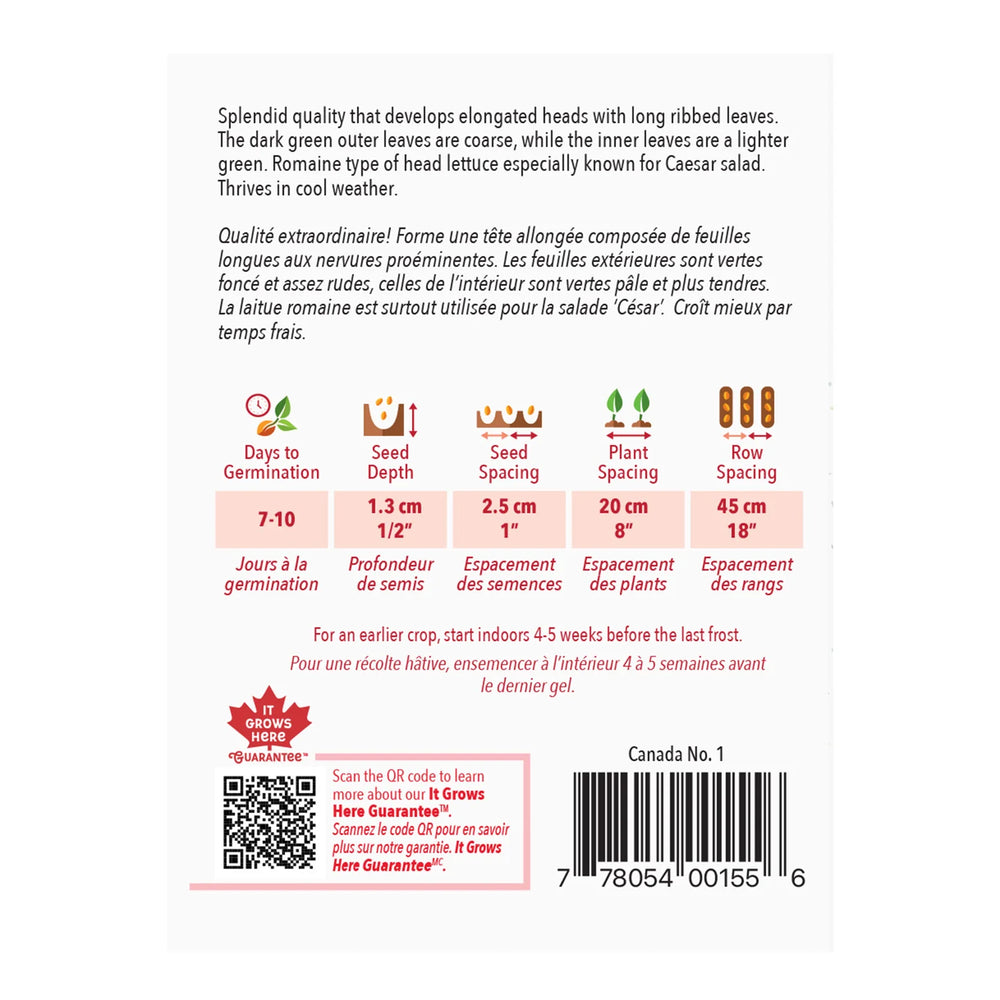Lettuce Romaine - McKenzie Seeds
