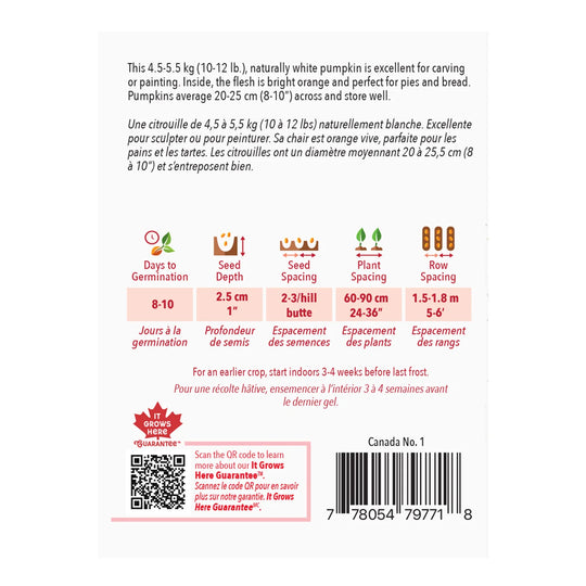 Pumpkin Casper - McKenzie Seeds