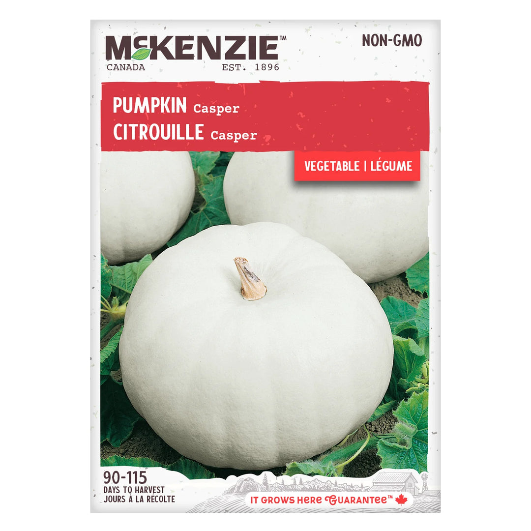 Pumpkin Casper - McKenzie Seeds