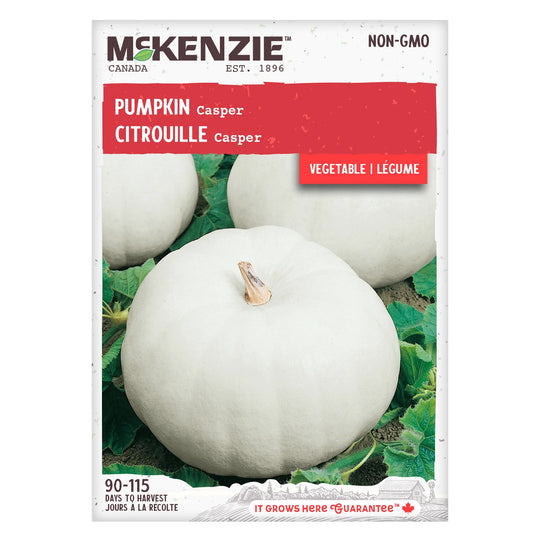 Pumpkin Casper - McKenzie Seeds