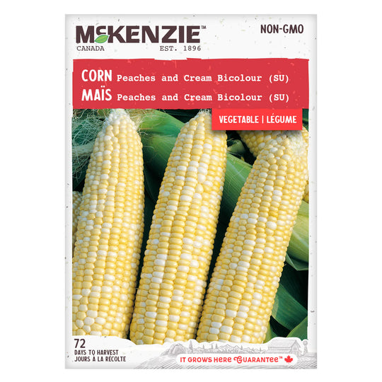 Corn Peaches and Cream - McKenzie Seeds