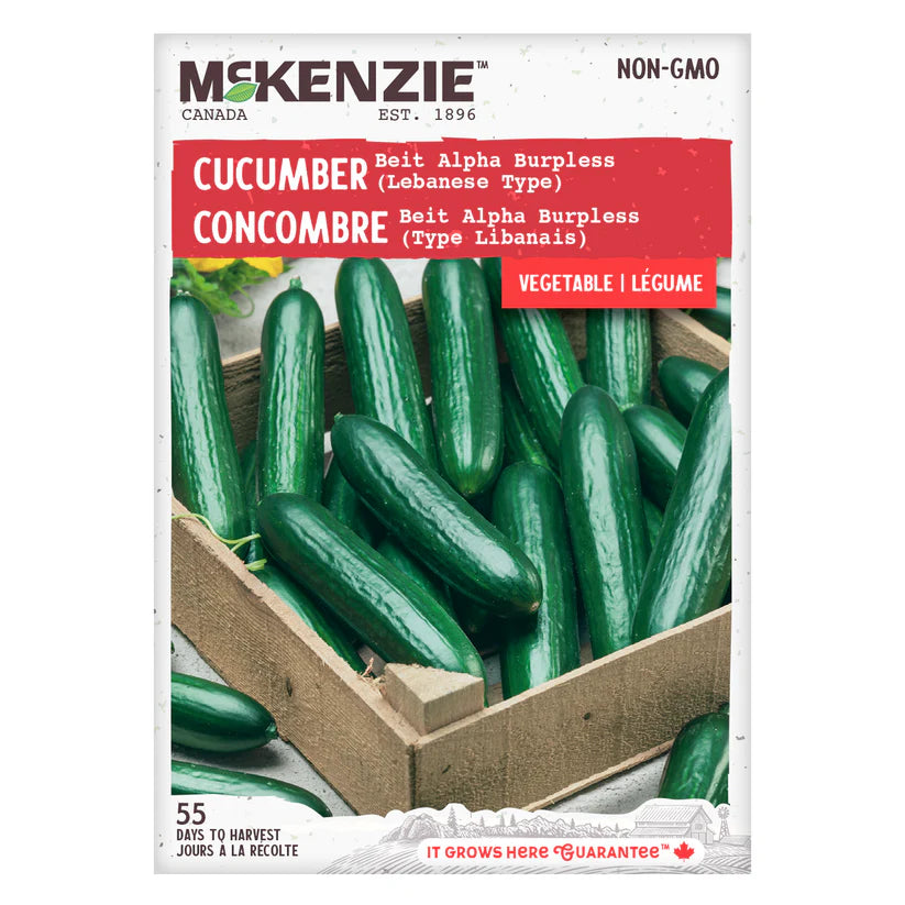 Cucumber Beit Alpha Burpless Lebanese Type - McKenzie Seeds
