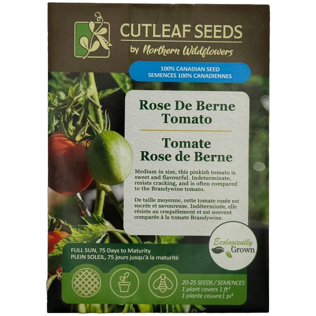 rose de berne tomato seeds Tomato Rose De Berne