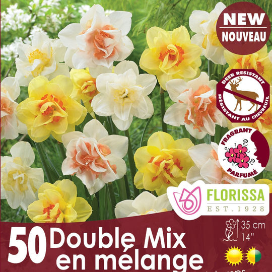 Narcissus, Double Mix - Mesh Bag 50 Pack