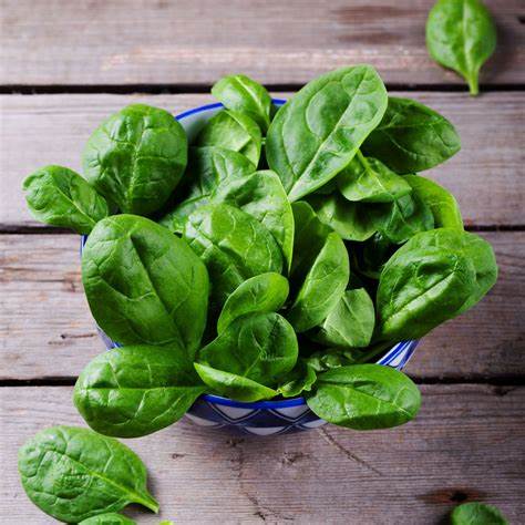 Organic Spinach Bloomsdale Longstanding - Burpee