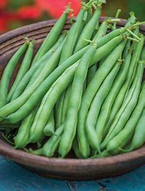 Organic Bean Big Kahuna - Burpee Seeds