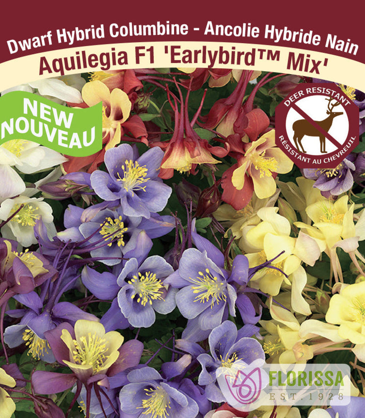 Columbine - F1 Earlybird Mix, 1 Pack
