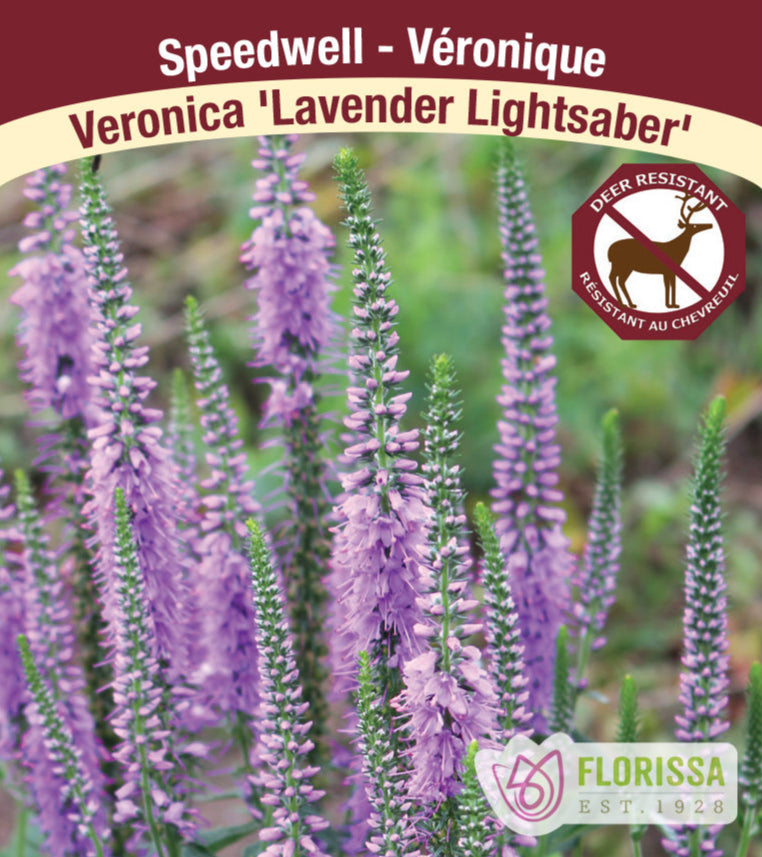Veronica - Lavender Lightsaber, 1 Pack