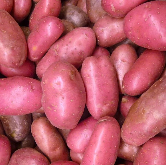 Potato - Sangre Organic, 500g