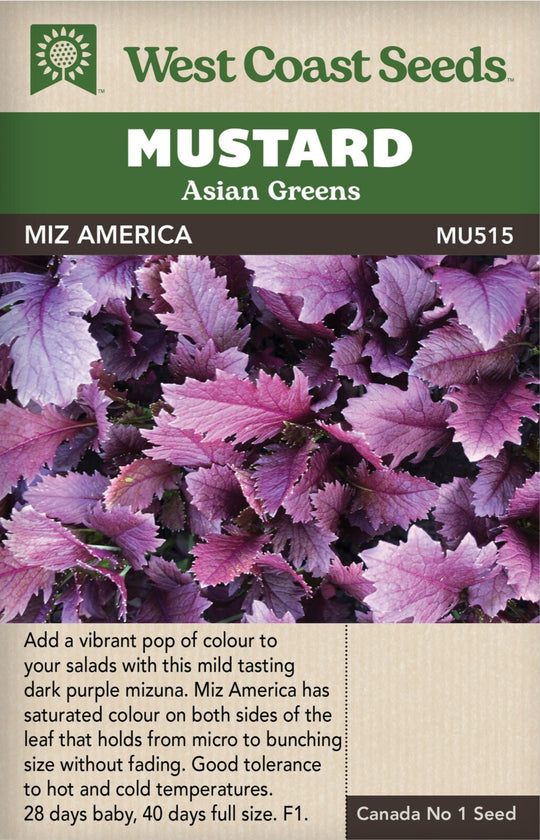 Mustard Miz America - West Coast Seeds