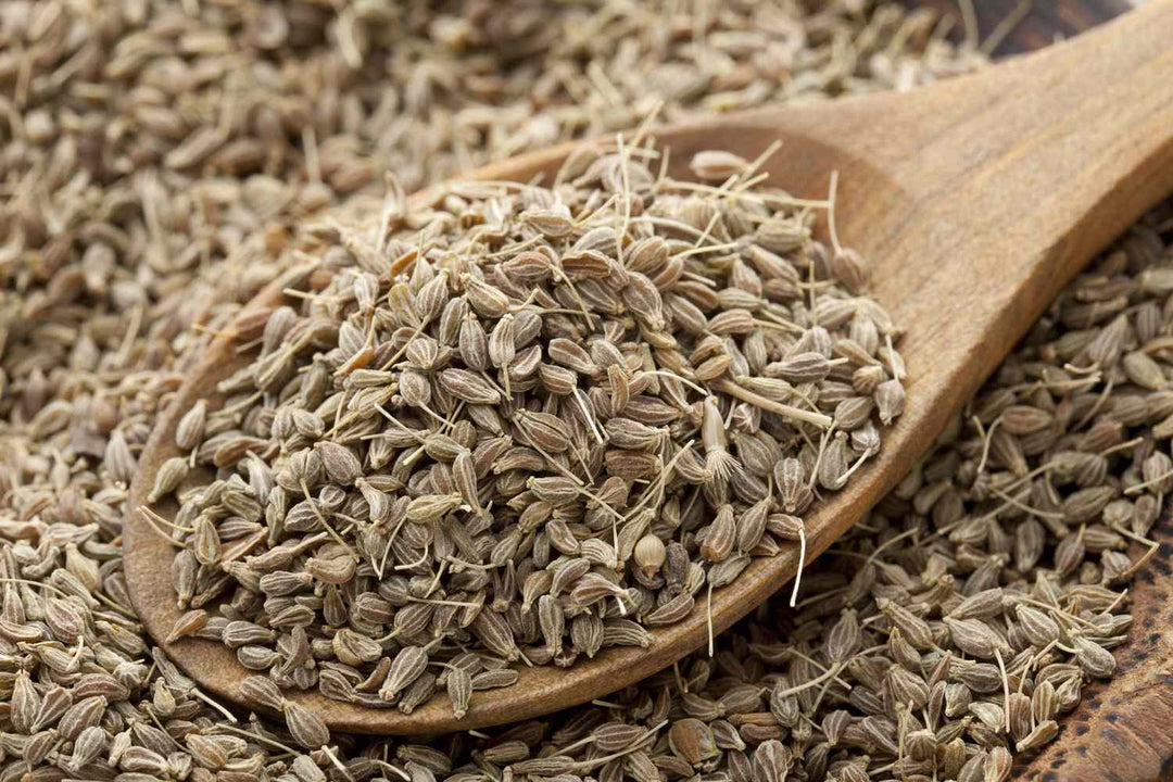 Anise - Pacific Northwest Seeds