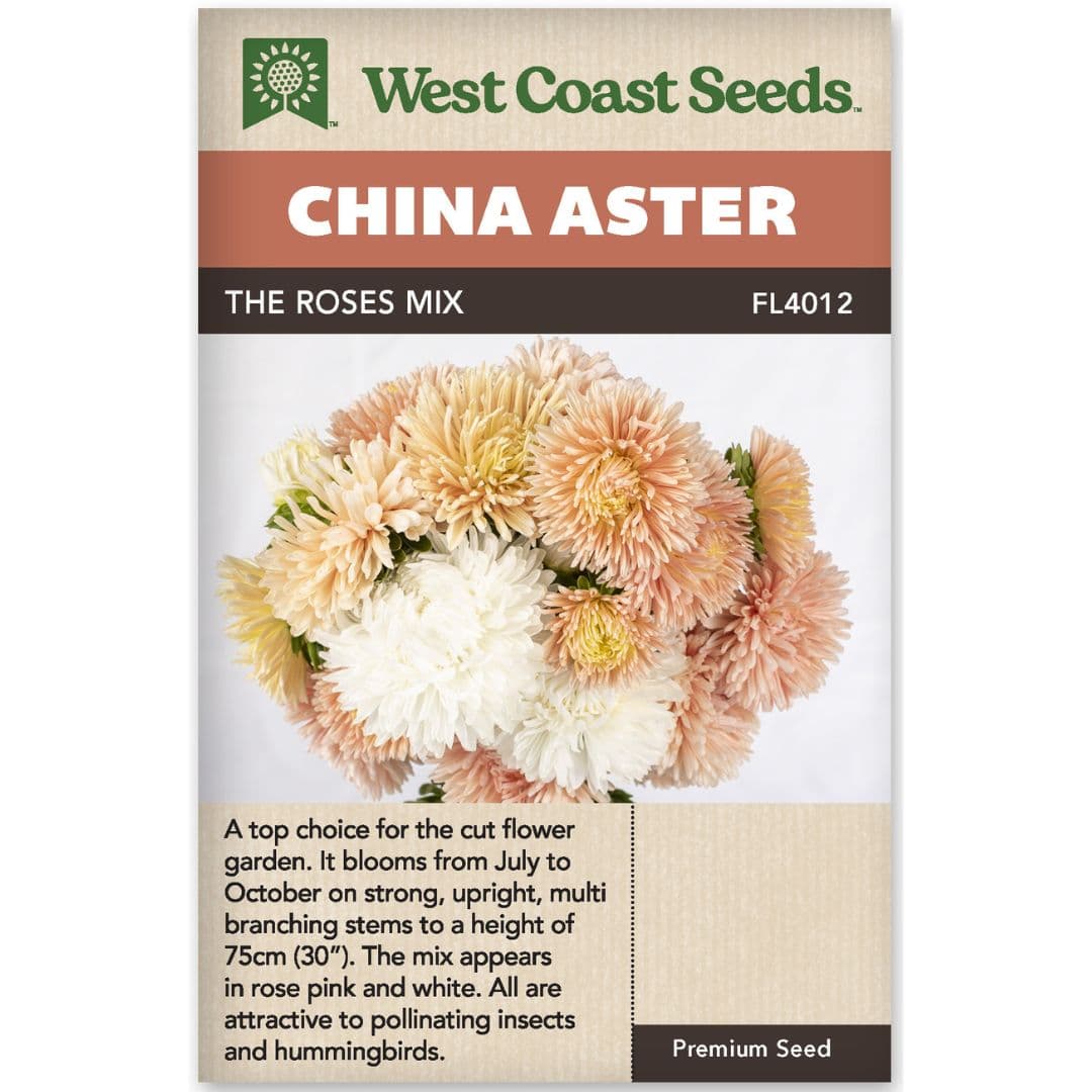 China Aster The Roses Mix - West Coast Seeds