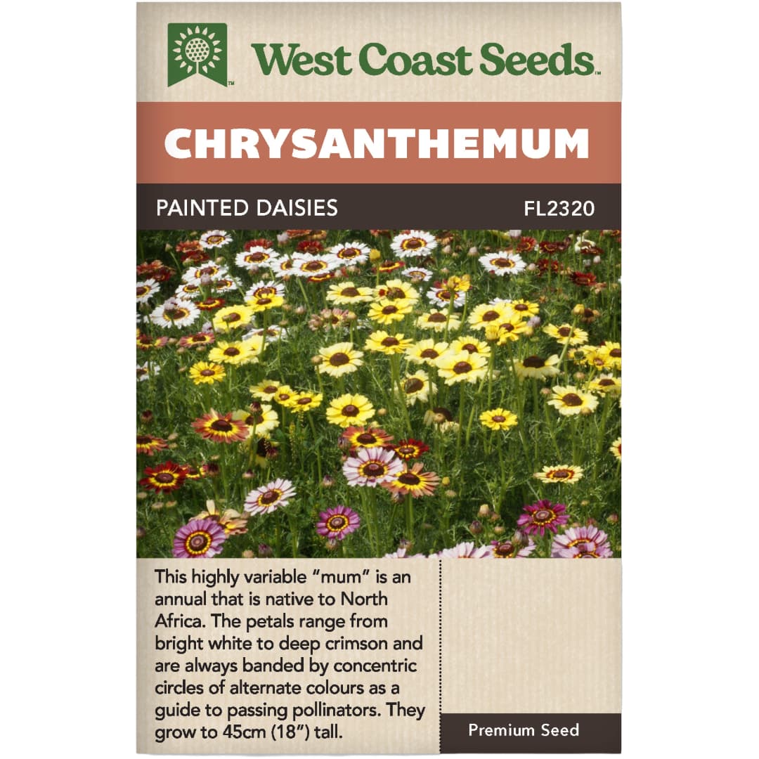 west coast seeds flower planting chart Chrysanthemum Painted Daisies