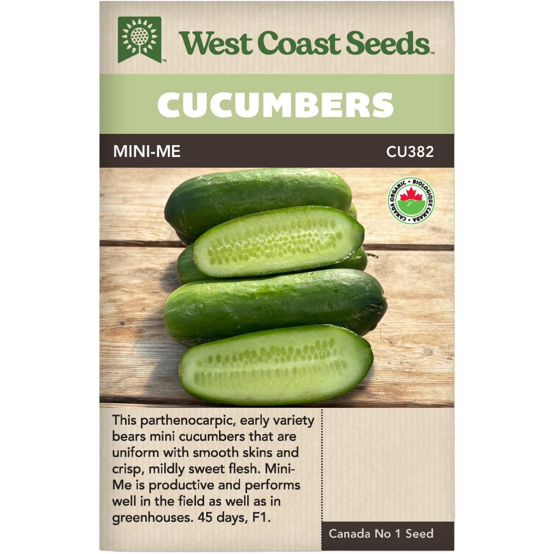 Organic Cucumbers MiniMe F1 West Coast Seeds Wildwood Outdoor Living