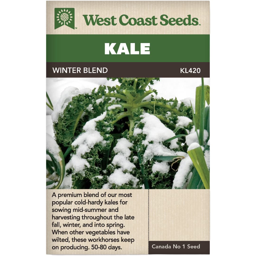 Kale Winter Blend West Coast Seeds – Wildwood Outdoor Living