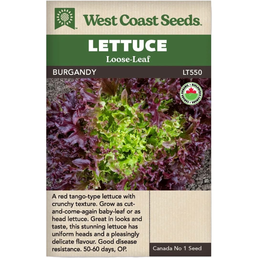 Organic Lettuce Burgandy - West Coast Seeds