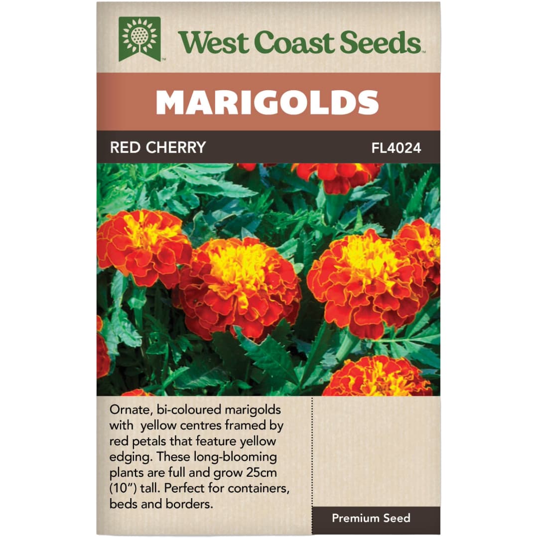 Marigolds Red Cherry - West Coast Seeds  Wildwood Outdoor Living
