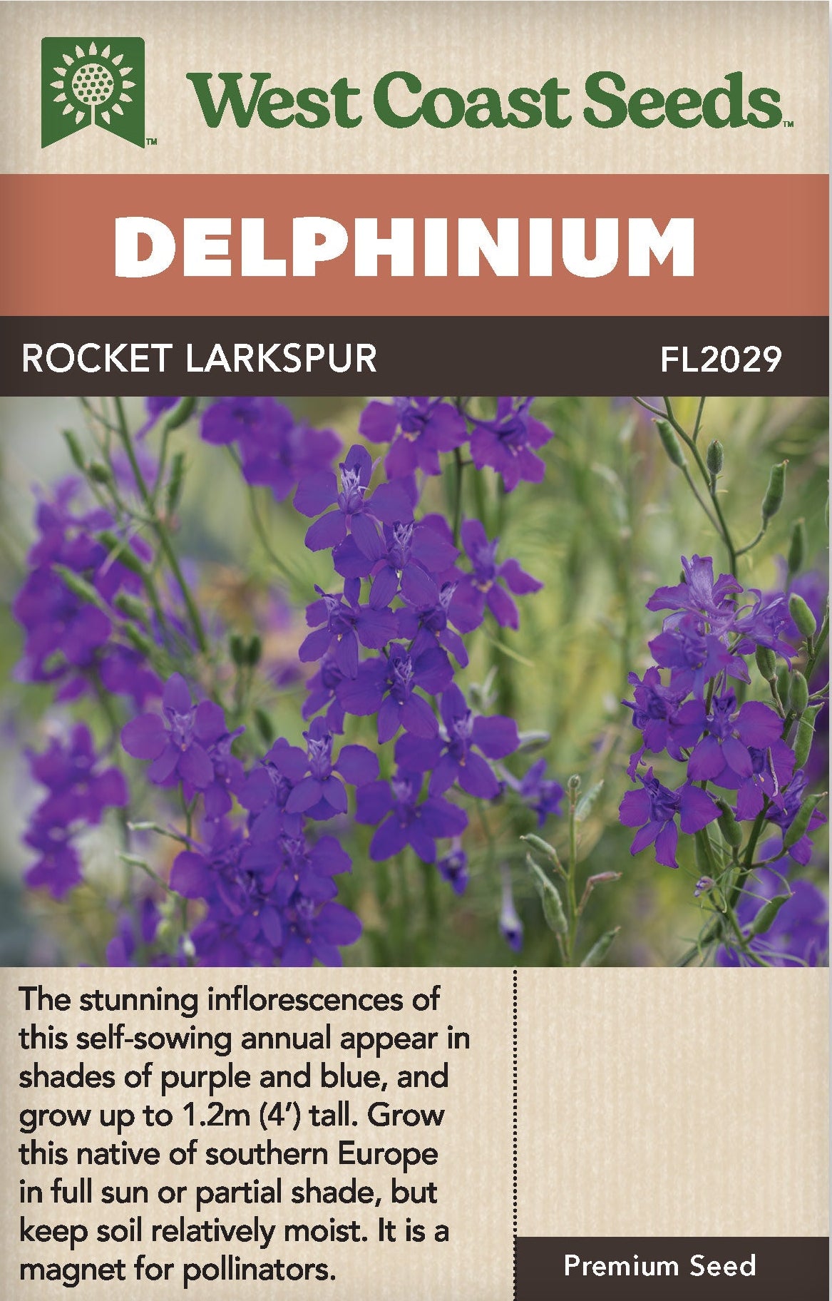 Delphinium Rocket Larkspur - West Coast Seeds – Wildwood Outdoor