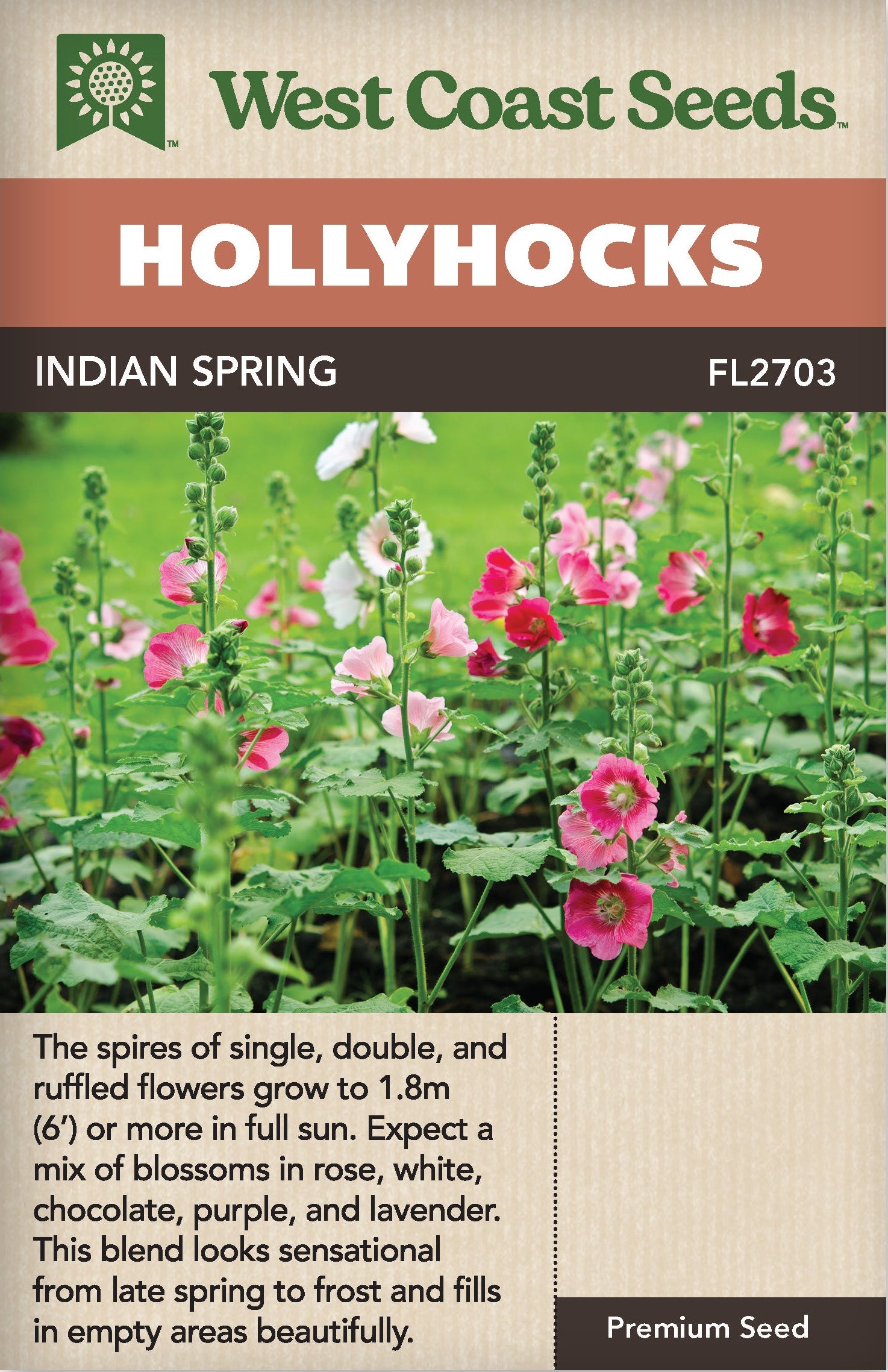 indian rose seeds Hollyhocks Indian Spring
