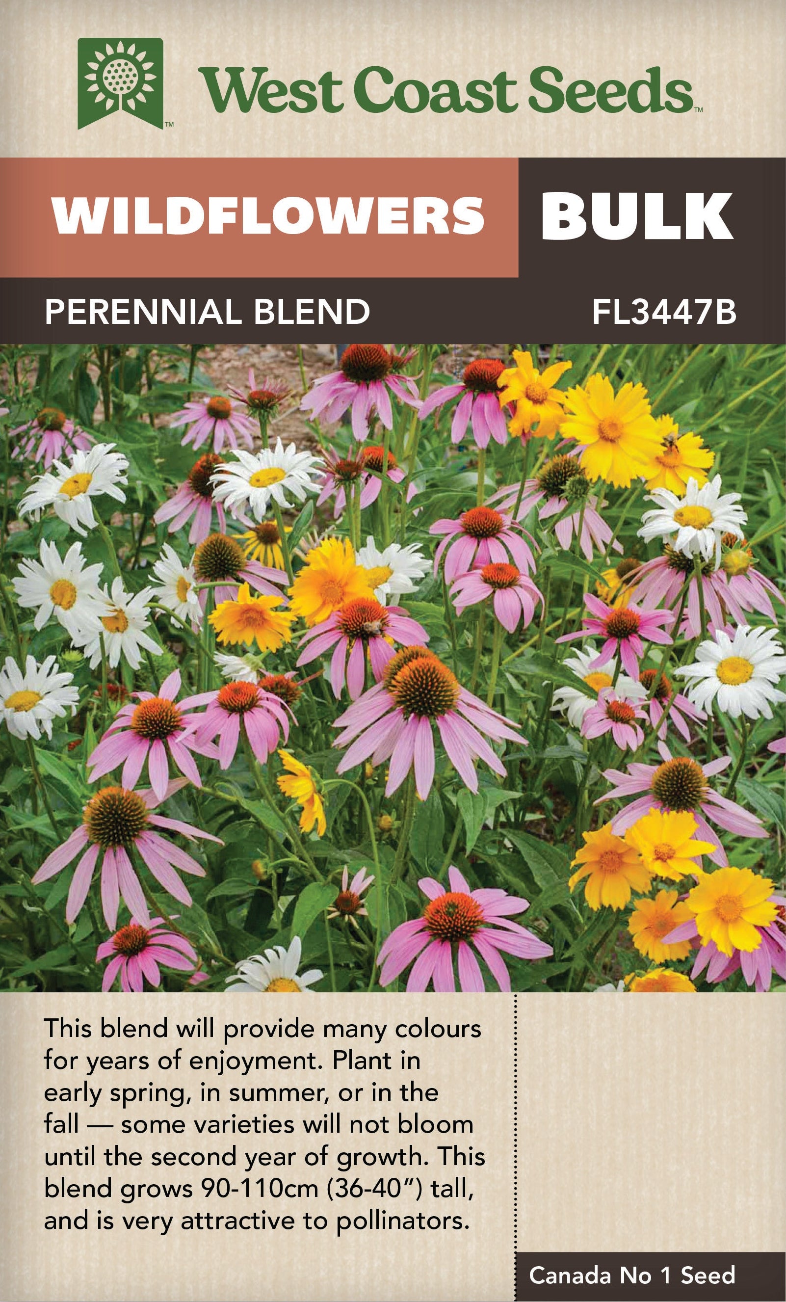 west coast seeds wildflowers BULK Wildflowers Perennial Mix