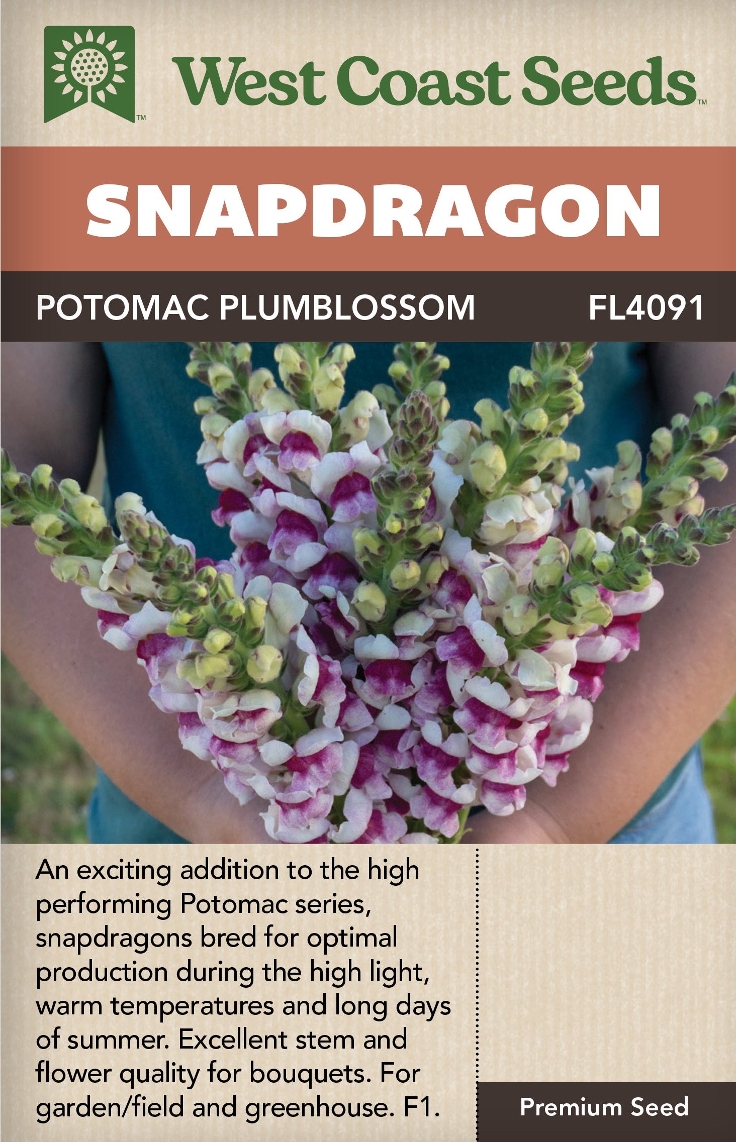 Snapdragon Potomac Plumblossom