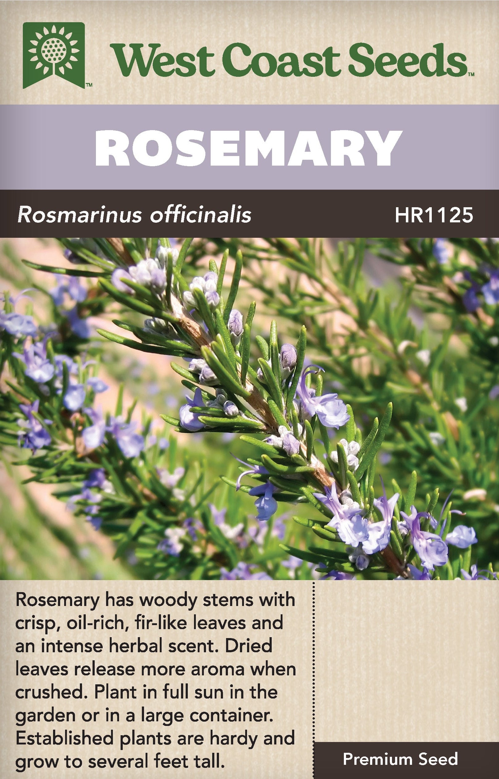 Rosemary - West Coast Seeds – Wildwood Outdoor Living