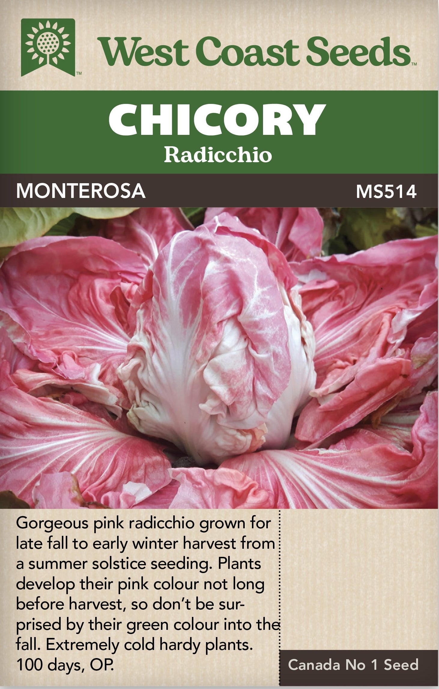 rosada seeds Chicory Monterosa