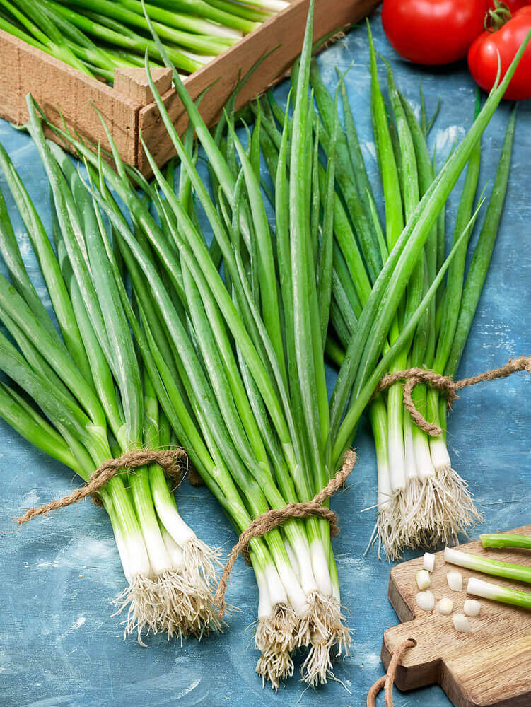 Onion White Gem Hybrid - Ontario Seed Company