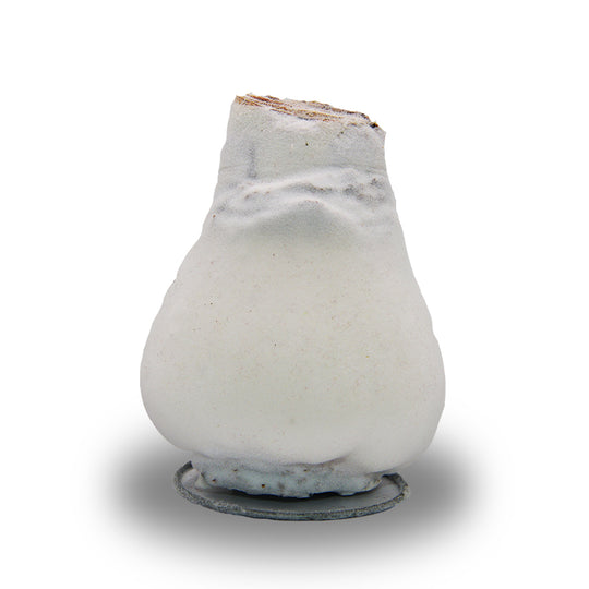 Waxed Amaryllis Velvet Coat - Red Bloom