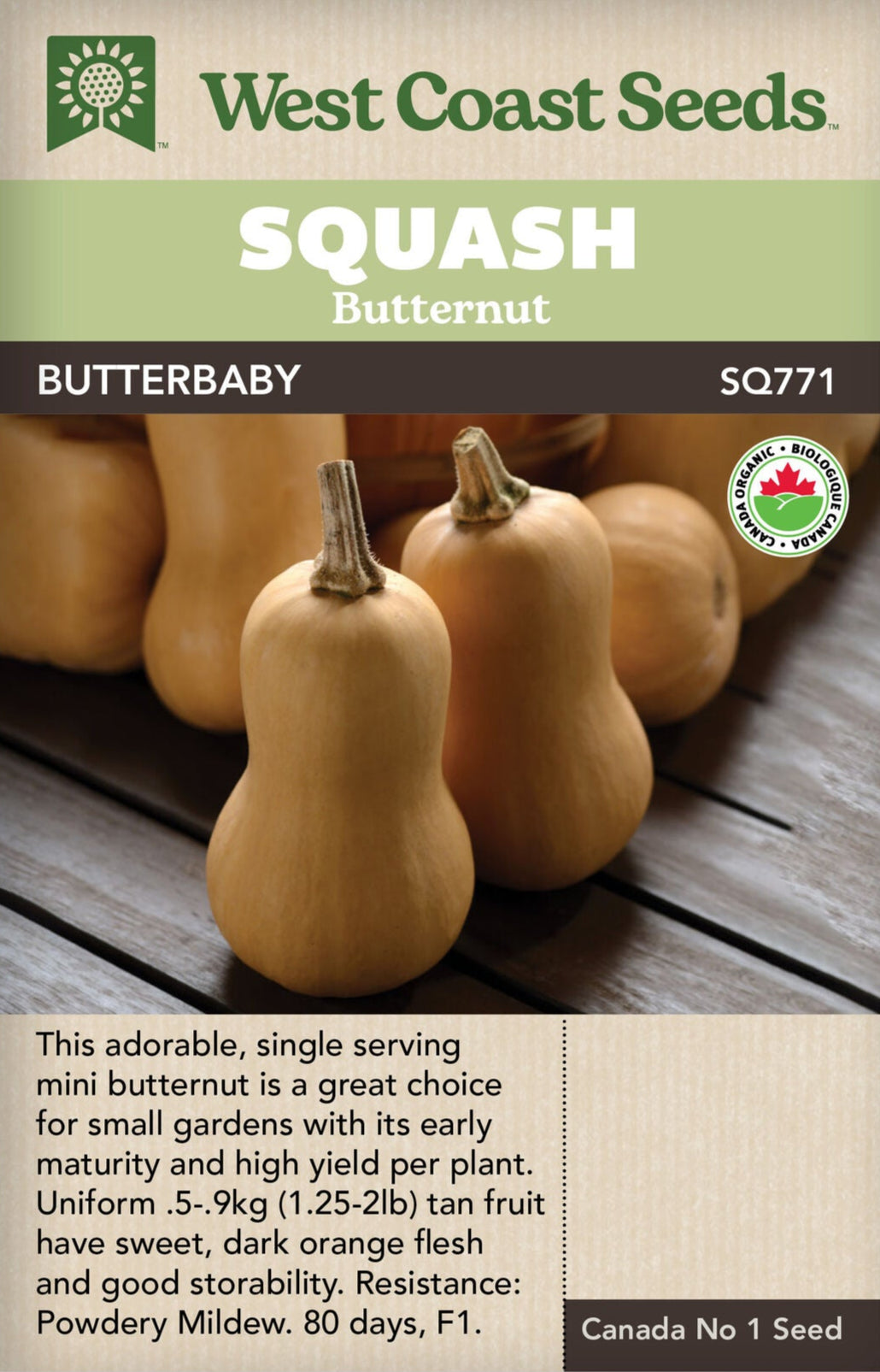Organic Squash Butterbaby - West Coast Seeds