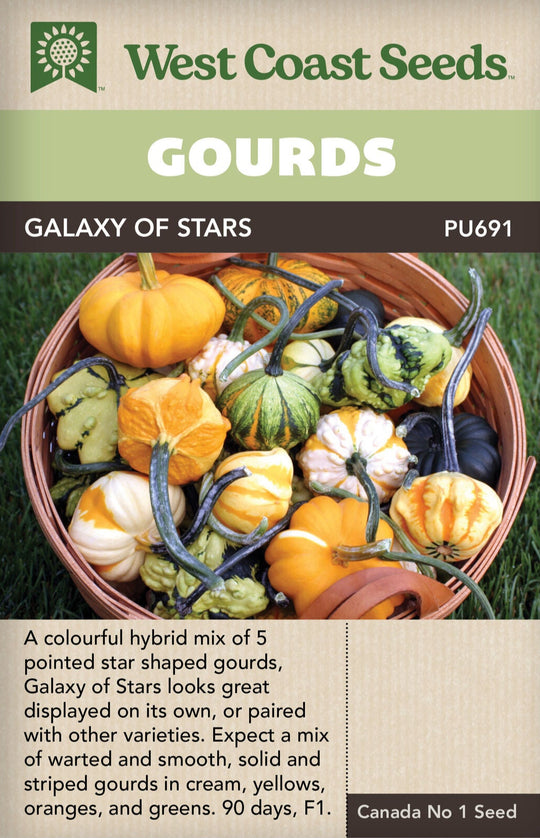 Gourd Galaxy of Stars - West Coast Seeds