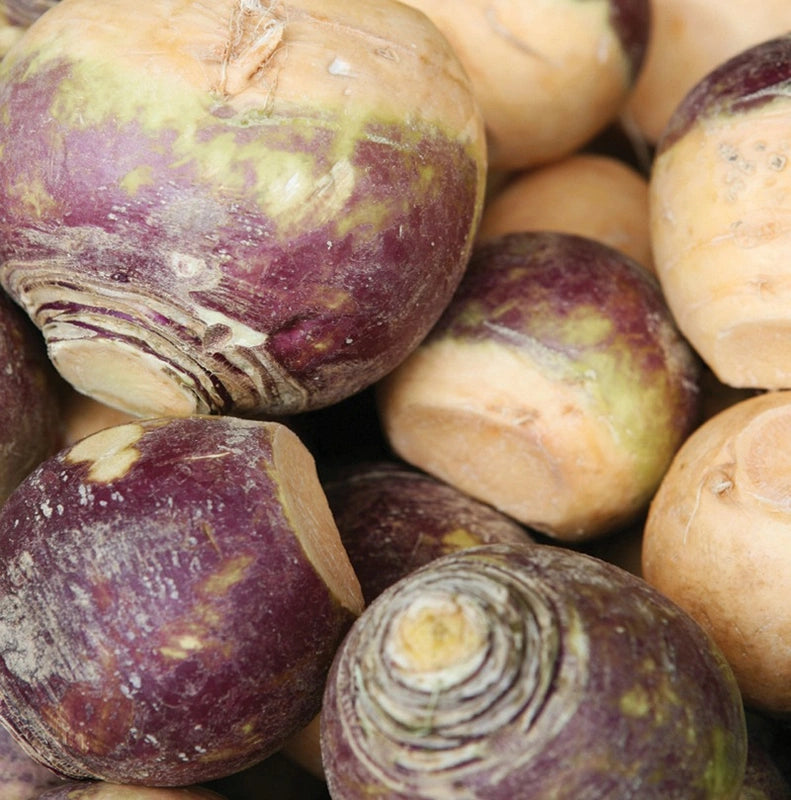 Rutabaga Laurentian - Pacific Northwest Seeds