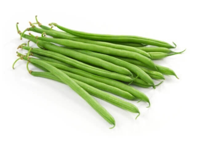 Bean Bush Blue Lake - Ontario Seed Company
