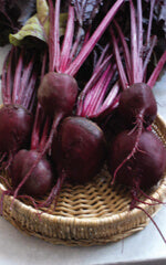 Beet Bull's Blood - Ontario Seed Company
