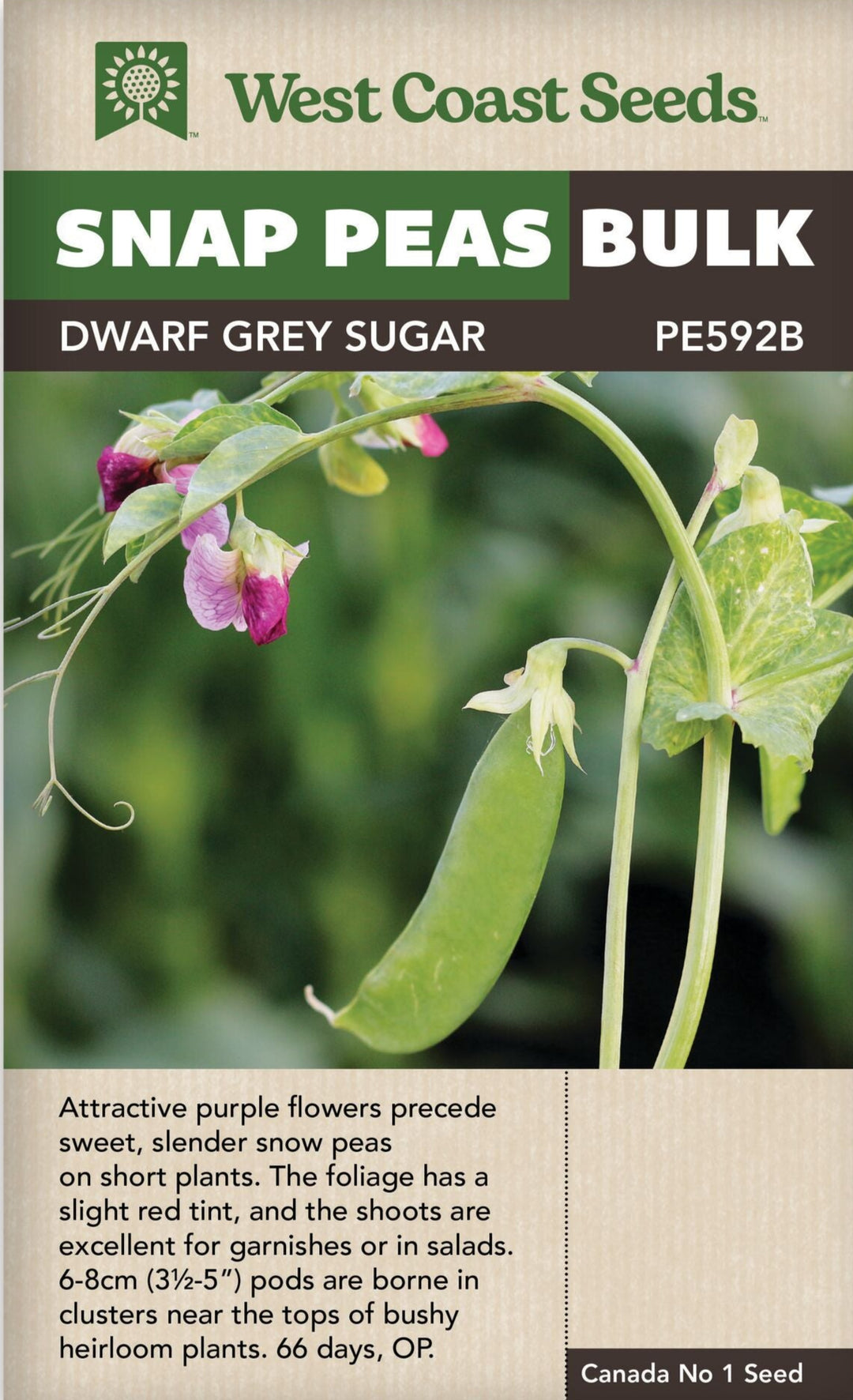Pea Dwarf Grey Sugar Bulk - West Coast Seeds