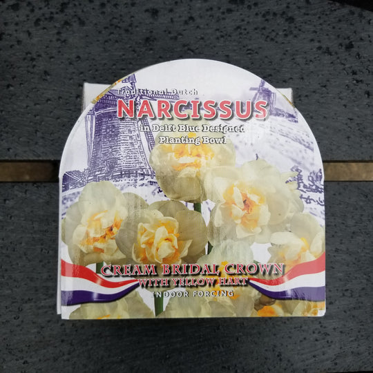 Spring and Winter Flowering Ceramic Bowl Kits