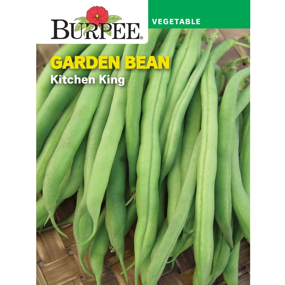 Bean Kitchen King Bush - Burpee Seeds