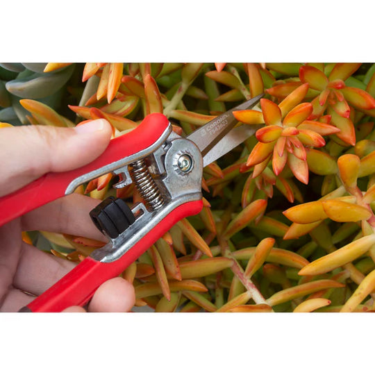 Corona FS43623 Yard Essentials Mini Floral Snips