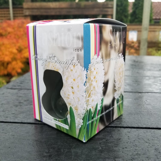 Hyacinths - With Glass Kit