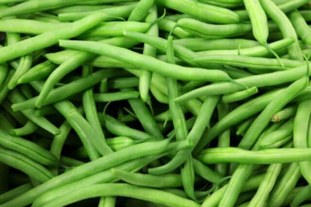Bean Kentucky Wonder Green Pole - Ontario Seed Company