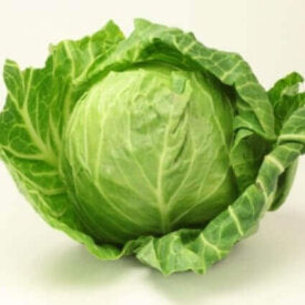 Cabbage Late Flat Dutch - Ontario Seed Company