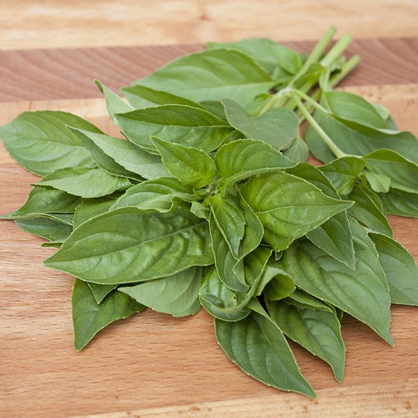 Basil Lemon Pacific Northwest Seeds Wildwood Outdoor Living