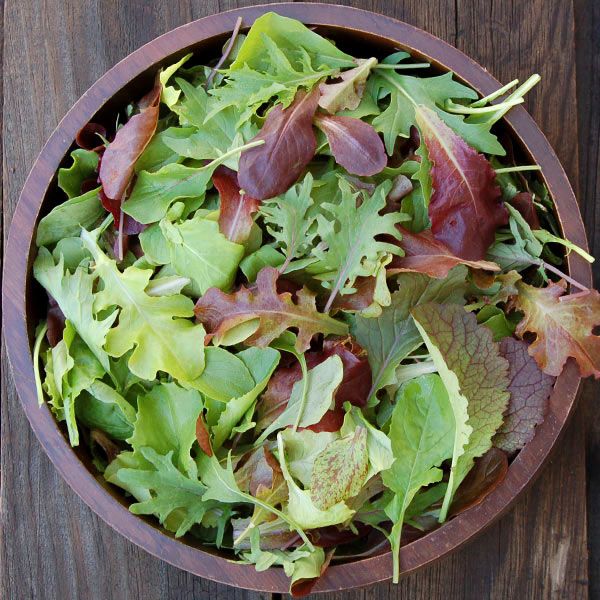 Lettuce Mesclun Mix - Pacific Northwest Seeds