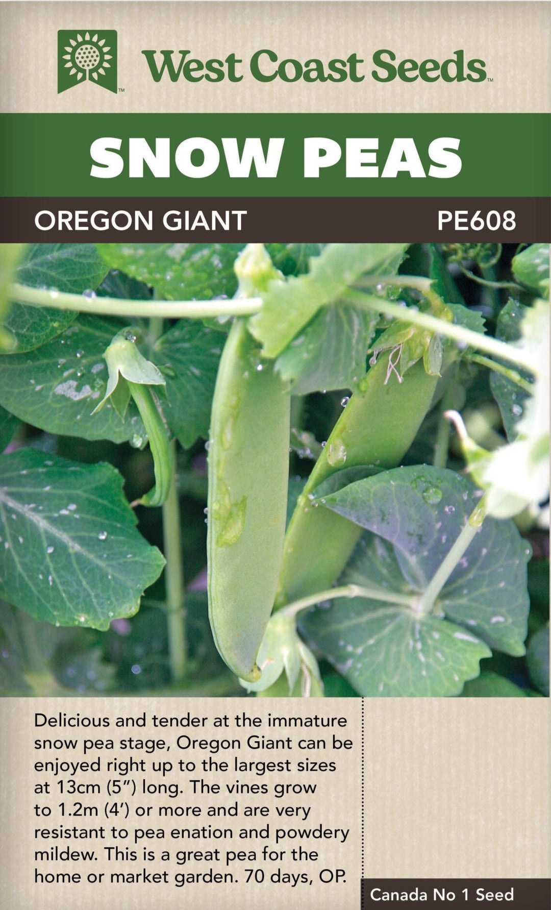 Pea Snow Oregon Giant - West Coast Seeds