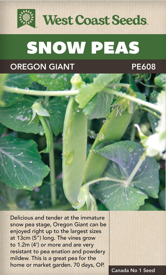Pea Snow Oregon Giant - West Coast Seeds