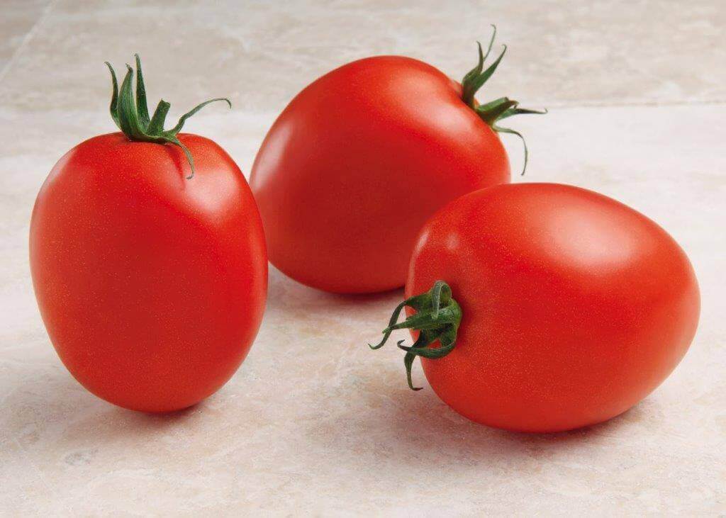 Tomato Namib Cocktail - Ontario Seed Company