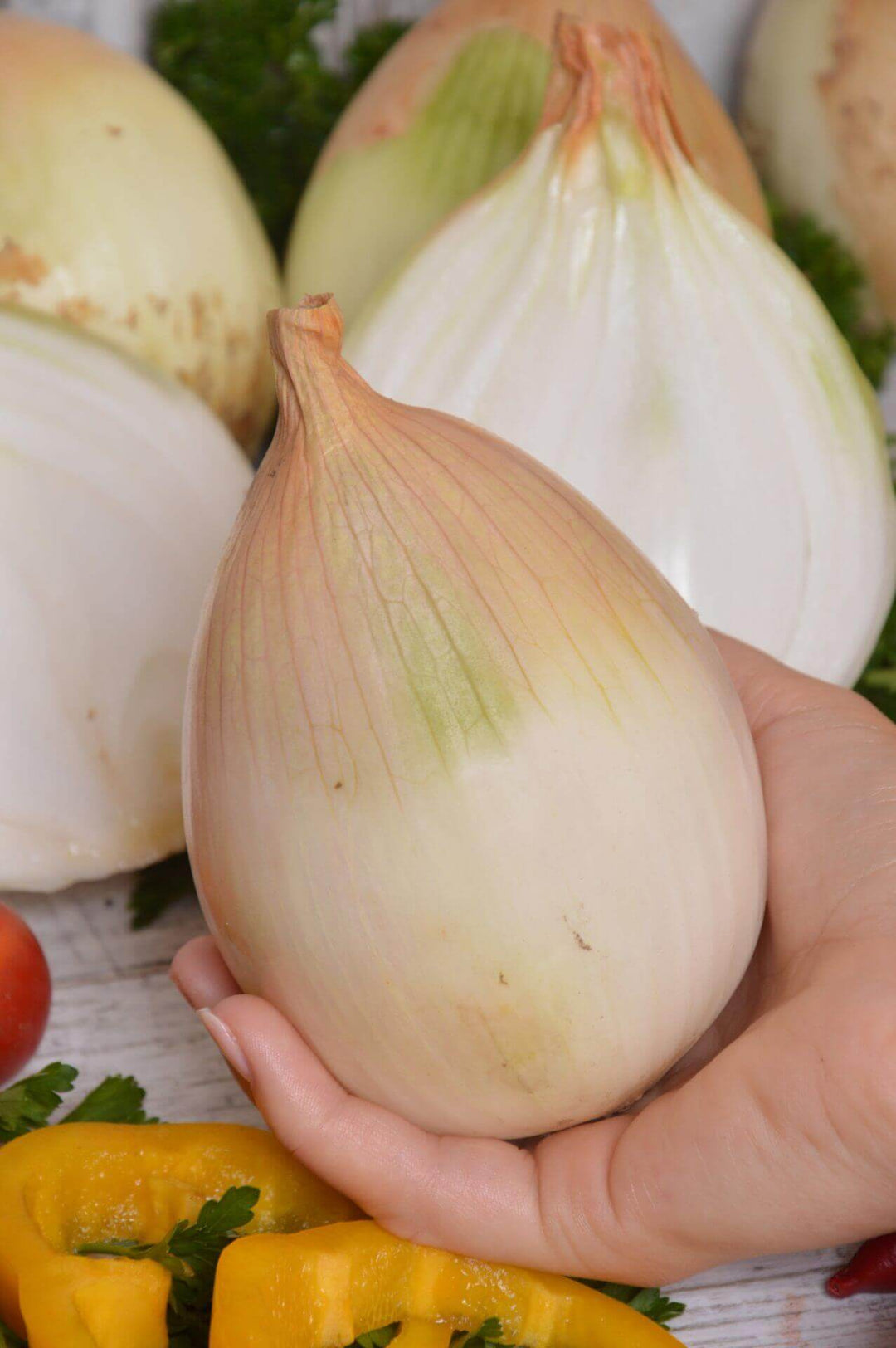 Onion Ailsa Craig - Ontario Seed Company