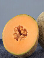 Cantaloupe Earlichamp Hybrid - Ontario Seed Company