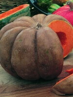 Pumpkin Fairy Tale - Ontario Seed Company